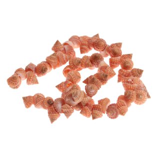 Muschel strawberry whole / 12mm