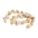 Muschel Moon whole / 20mm