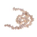 Muschel casmaria ponderosa whole / 12mm