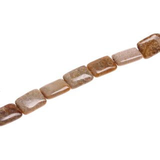 Stone Fossil coral square / 25mm.