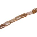 Stein Perlen Fossil coral square / 25mm.