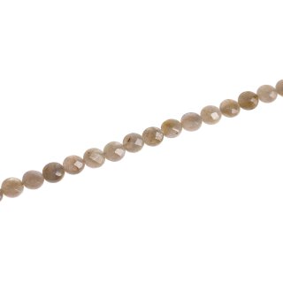 Stone Labradourite flat round faceted / 10mm.
