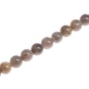 Stone Labradourite round beads / 14mm.