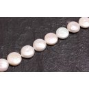 Natural Freshwater Pearl Beads white / Flat round / 15mm.