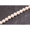Natural Freshwater Pearl Beads white / Semi Round / 10x10mm.