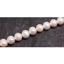 Natural Freshwater Pearl Beads white / round   / 11mm.