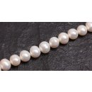 Natural Freshwater Pearl Beads white / Semi Round / 10x11mm.