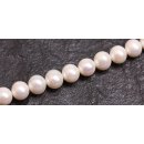 Natural Freshwater Pearl Beads white / round   / 10mm.