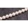 Natural Freshwater Pearl Beads white / round   / 10mm.