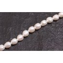 Natural Freshwater Pearl Beads white / Oval seed / 10x8mm.