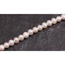 Natural Freshwater Pearl Beads white / round  / 6mm.