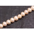 Natural Freshwater Pearl Beads Rose / Semi Round / 10x12mm.