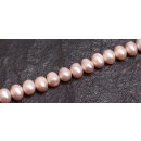 Süßwasserperlen Rose / Round Oval / 16mm.