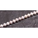 Freshwater Pearl Beads Silver Grey / round   / 8mm.