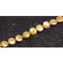 Freshwater Pearl Beads Yellow / flat round / 11mm.