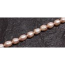 Natural Freshwater Beads Pearl Rose / oval seed / 9x6mm.