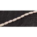 Bone Beads  white oval seed / 9x5mm.