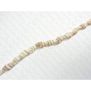 ShellMitra whole -white brown ca.16mm