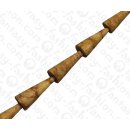 Bamboo Coral Long Cone Tiger / ca. 32mm / 12pcs.