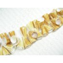 Shell Conus trumpet natural ca. 22mm