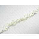 Muschel Clam natural white ca.20mm