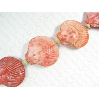 Shell Scallop fan shape coral ca.45mm