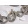 Halskette Rochenleder Grey Polished Shiny / 50x35mm / Wavy Chain / 63cm