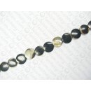 Shell Brownlip flat round ca.20mm