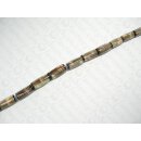 Muschel Cowrie tube rounded ca.32mm