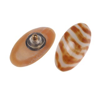 Earrings made of Nautilus Shell Oval Design,37mm