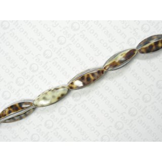 Shell Cowrie oval ca.30mm