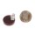 Brownlip Shell Cabochon Cracking Flat Round 15mm with Ear Studs Silver