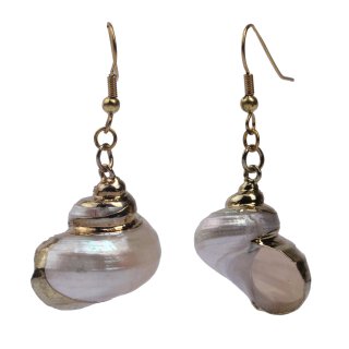 Silver Mouth Shell Earrings with Shepherds Crook Gold 25mm