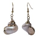 Silver Mouth Shell Earrings with Shepherds Crook Gold 25mm