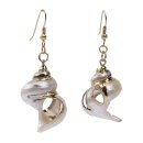 Silver Mouth Shell Earrings with Shepherds Crook Gold 35mm