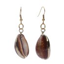 Cowrie Shell Earrings with Shepherds Crook Gold 30mm