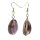Cowrie Shell Earrings with Shepherds Crook Gold 28mm