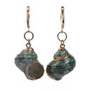 Green Turbo Shell Earrings with Lever Back Gold 26mm