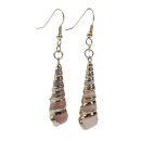 Granosa Shell Earrings with Shepherds Crook Gold 38mm