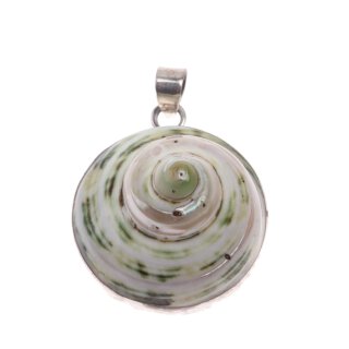 925 Sterling Silber Pendant with Turbo Shell / 32mm