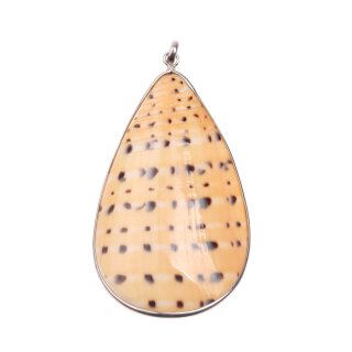925 Sterling Silber Pendant with Melo Shell / 70x40mm