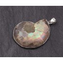 Sea Nautilus Ammonite Shell Pendant 38x32mm