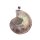 Sea Nautilus Ammonite Shell Pendant 38x32mm