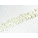 Muschel Troca stick white ca.6x24mm