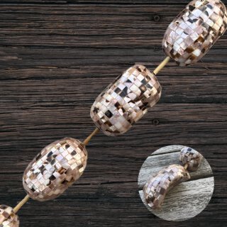 Muschel cracking, brownlip, flat oval twisted / 55x33x24mm