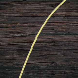 brass gold shiny tube brass I 10x2 mm.