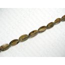 Brownlip Tiger Balimbing ca.35x16mm ICS