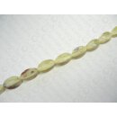 HammerMuschel Balimbing ca.35x18mm ILS