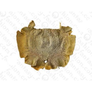 FROG WHOLE  SKIN YELLOW MATTED / ca. 10x4cm