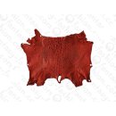 FROG WHOLE  SKIN DARK RED MATTED / ca. 10x4cm